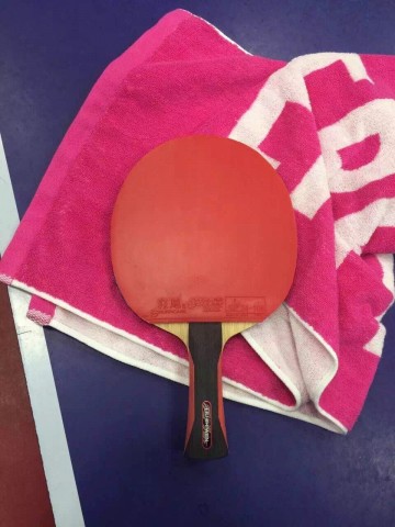 乒乓国家队选手使用红双喜器材盘点，反手狂飚使用率增加！